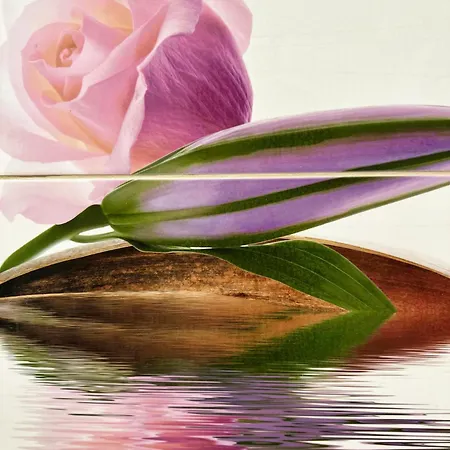 Cozy Corner Apartmán Lublaň