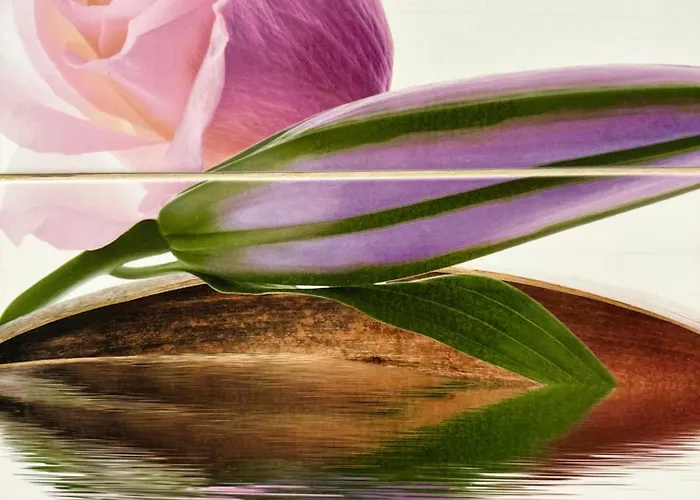 Cozy Corner Apartmán Lublaň